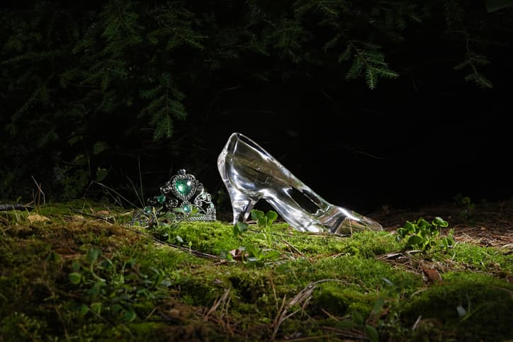 glass slipper