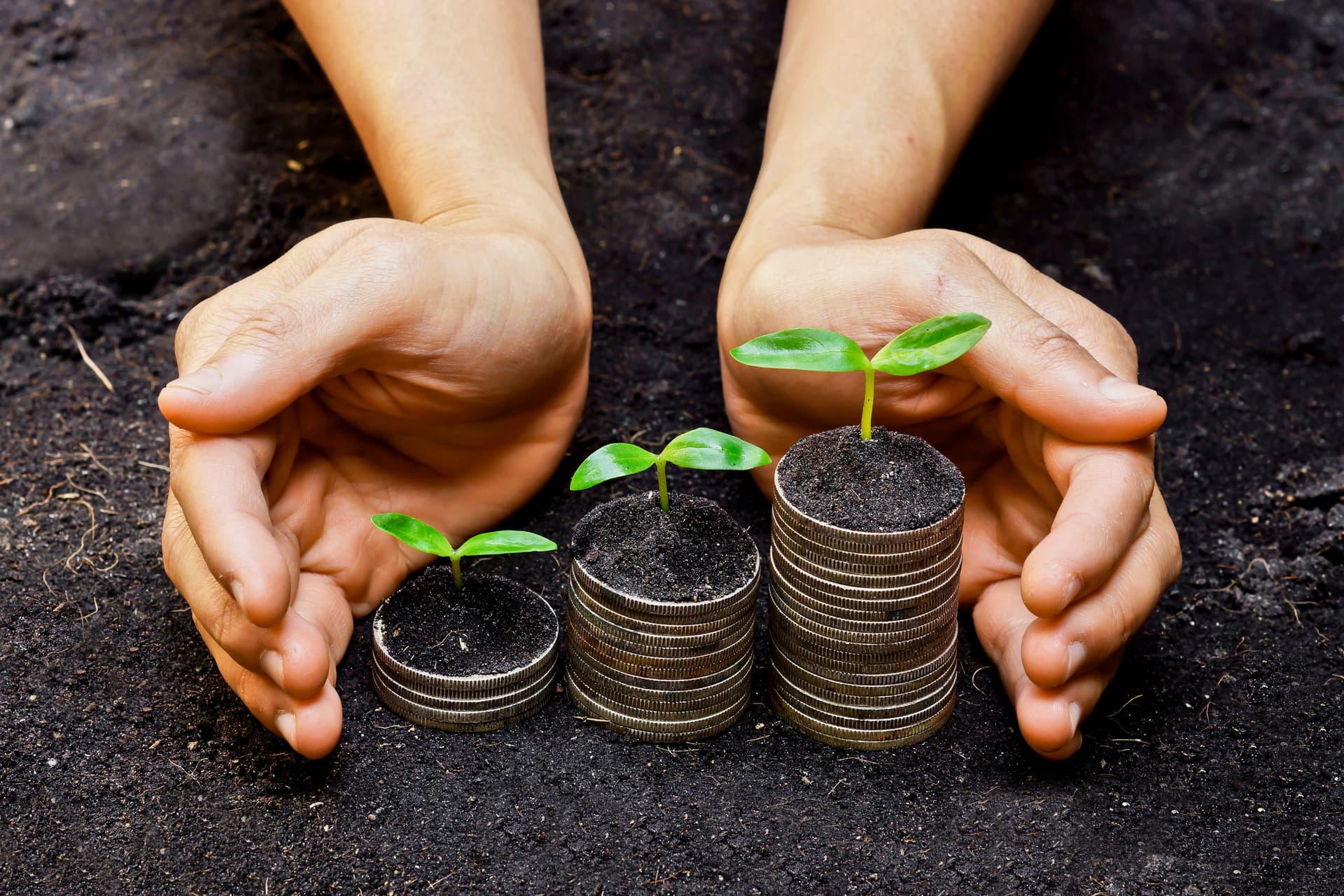 Growth investing