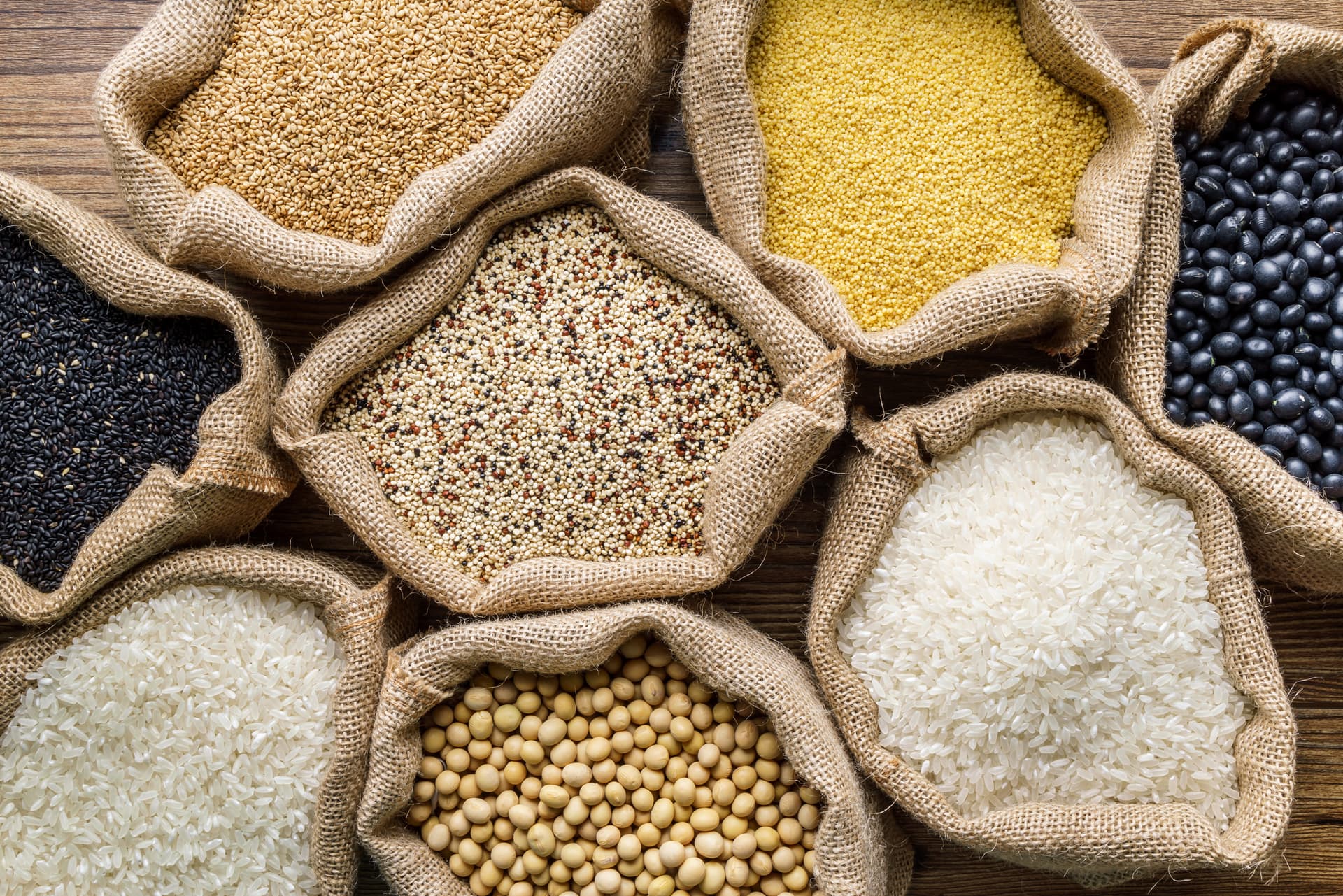 Seeds