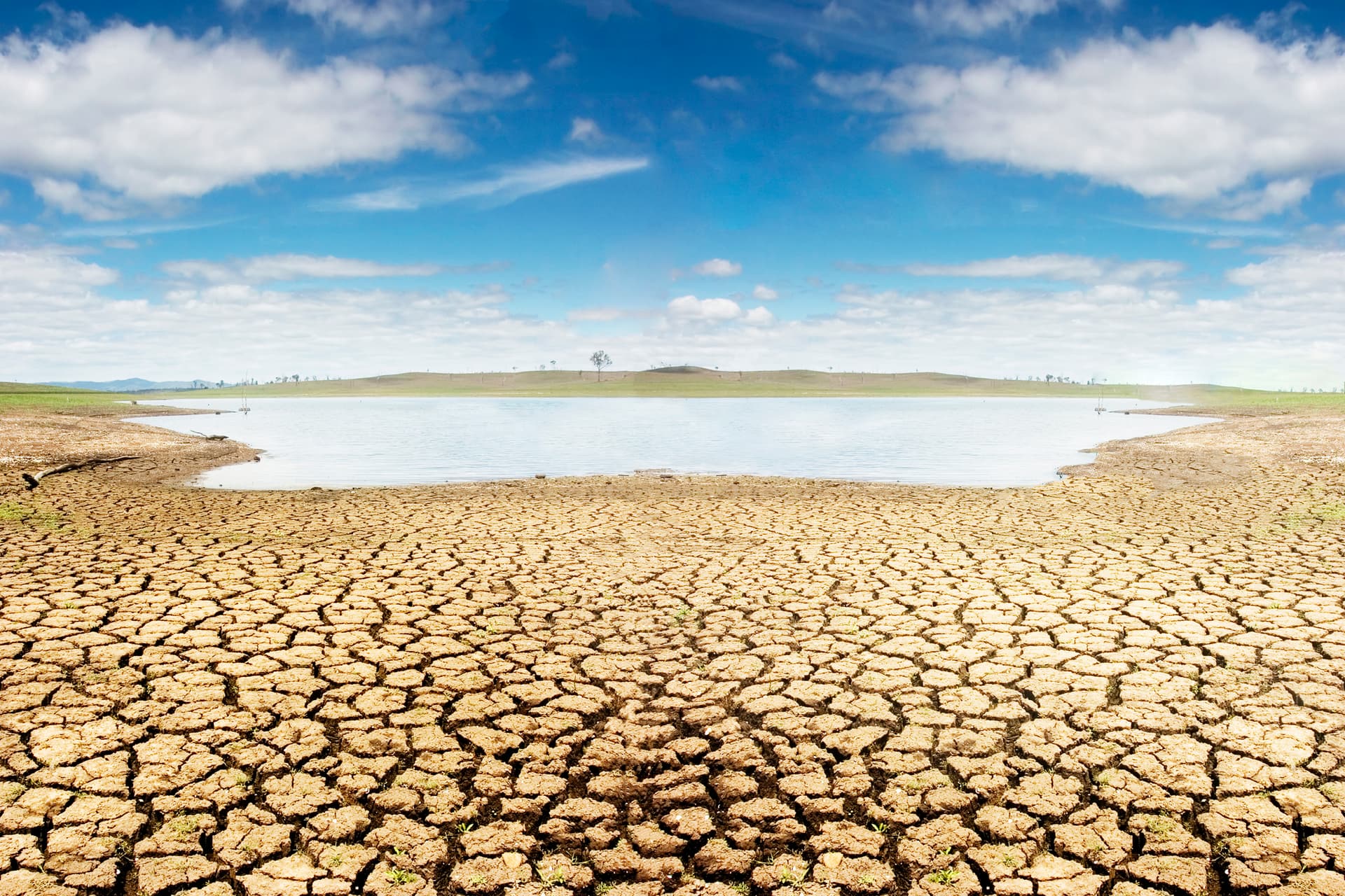 drought