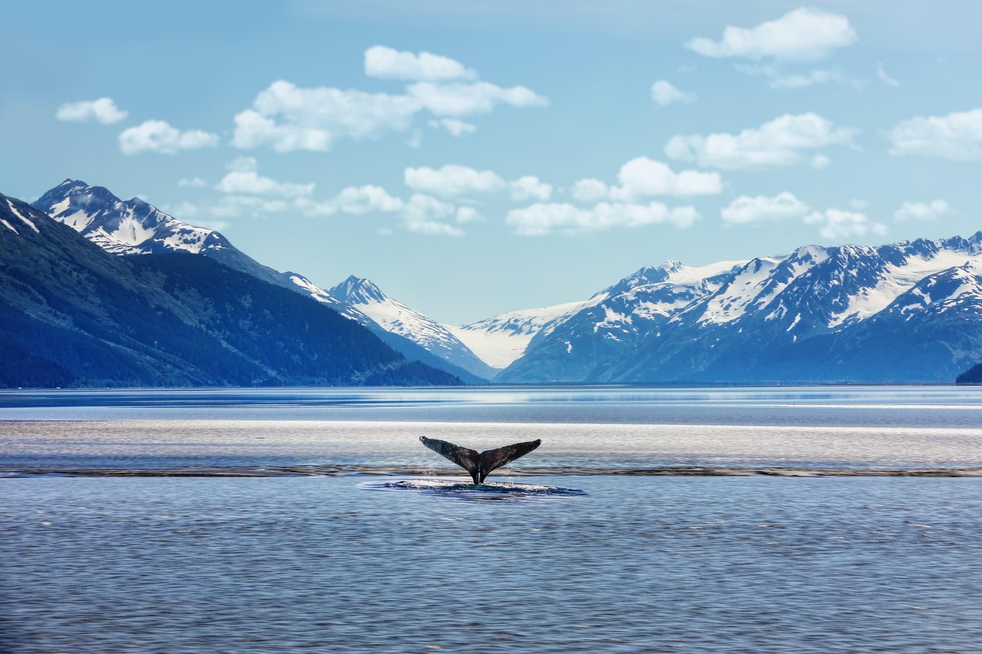 Alaska Russia Ukraine sanctions portfolio investment