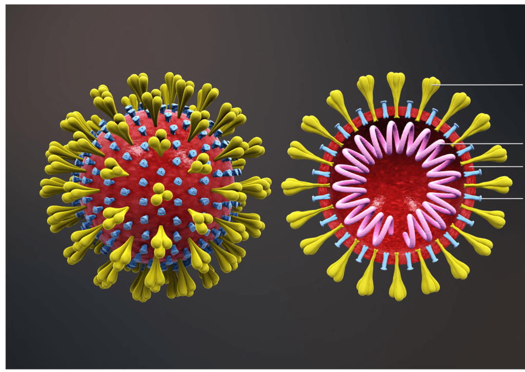 coronavirus