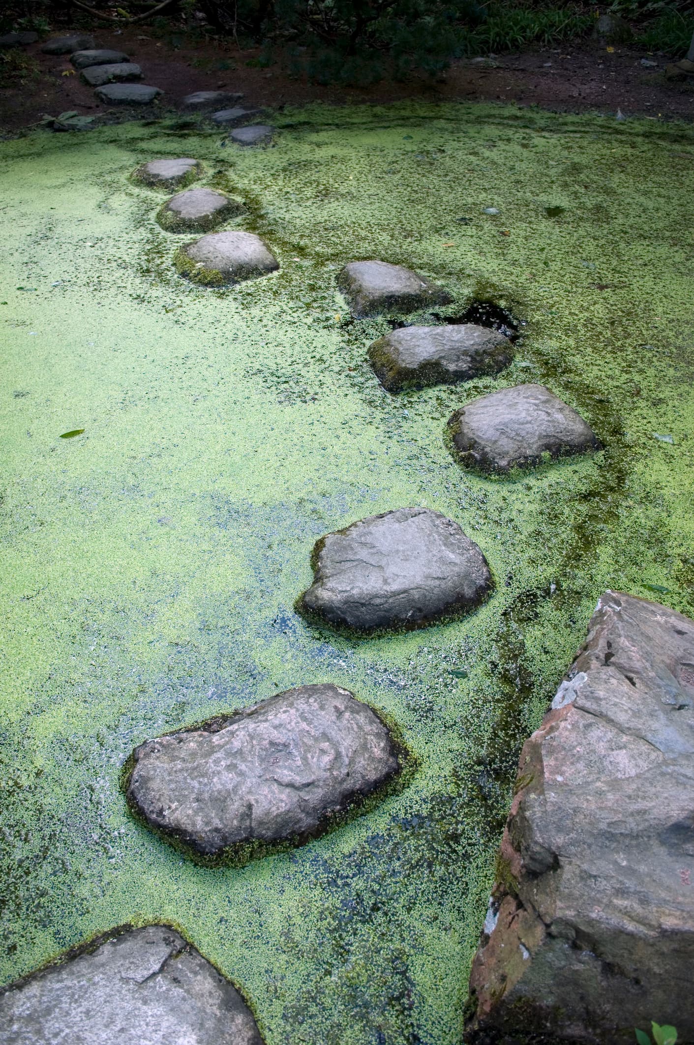 StepStone