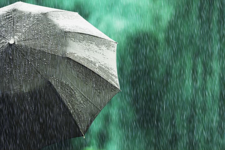 umbrella