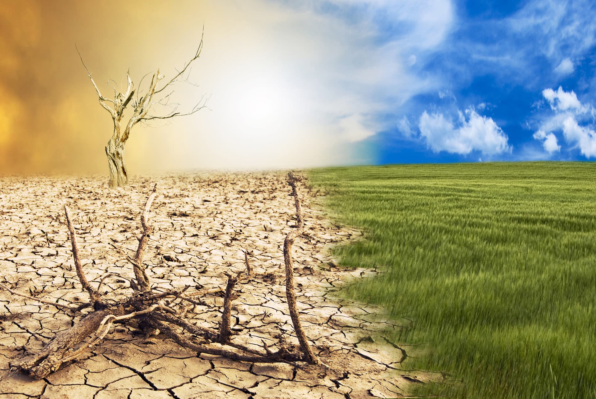conceptual scene, climate change