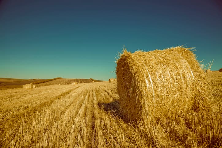 Make hay