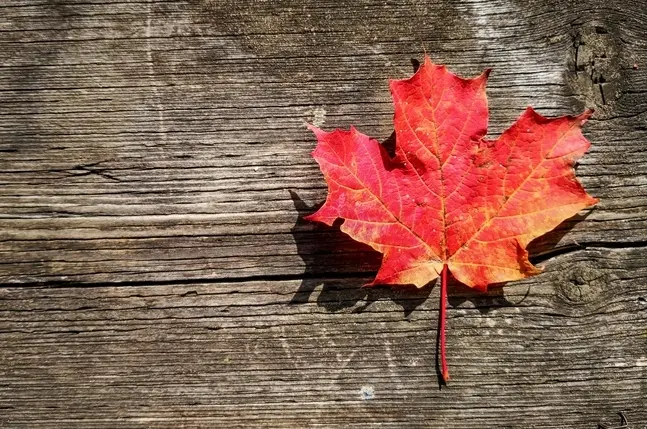 canada
