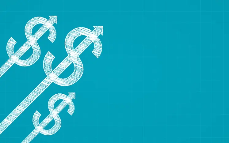 US dollar appreciation