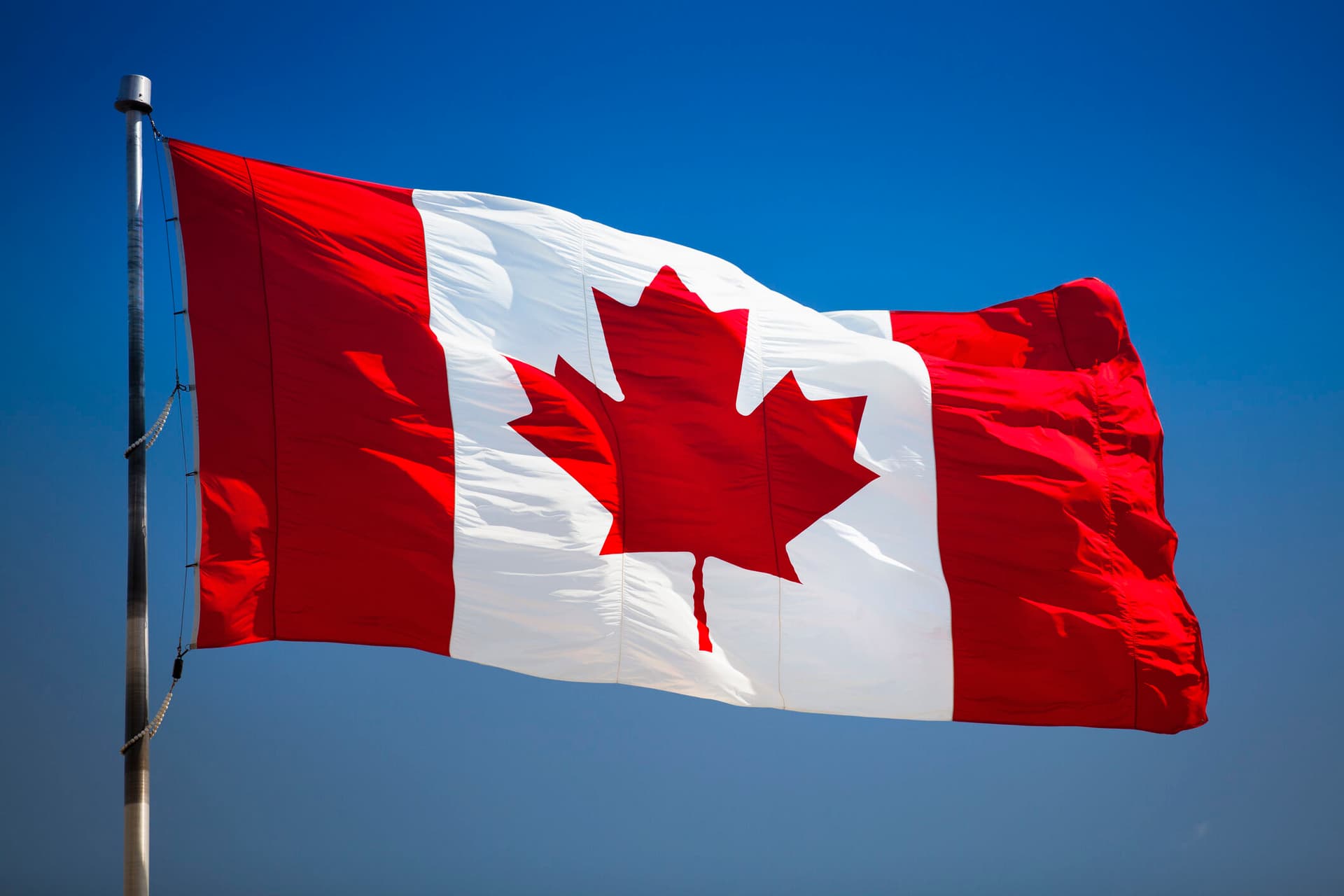 The Canadian flag blows in the wind.