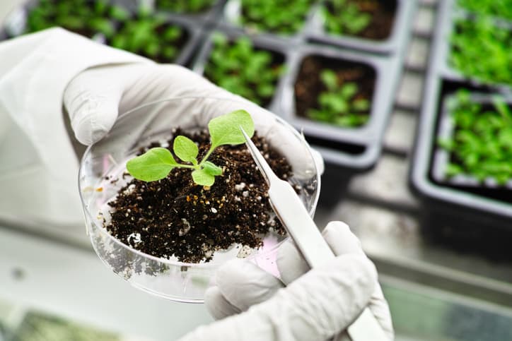 Agricultural research
