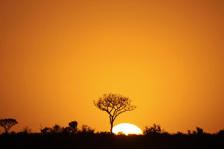 Sunrise over South Africa's Kruger National Park