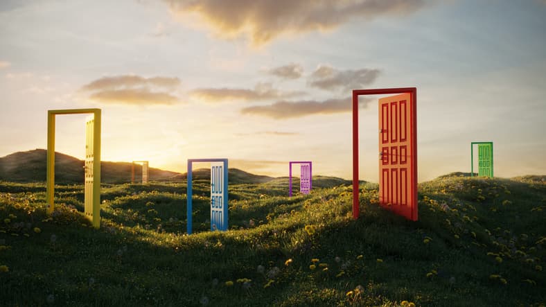 options doors