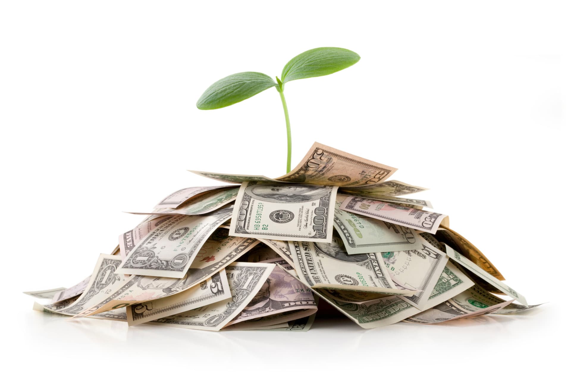 A green shoot emerging from a pile of dollars