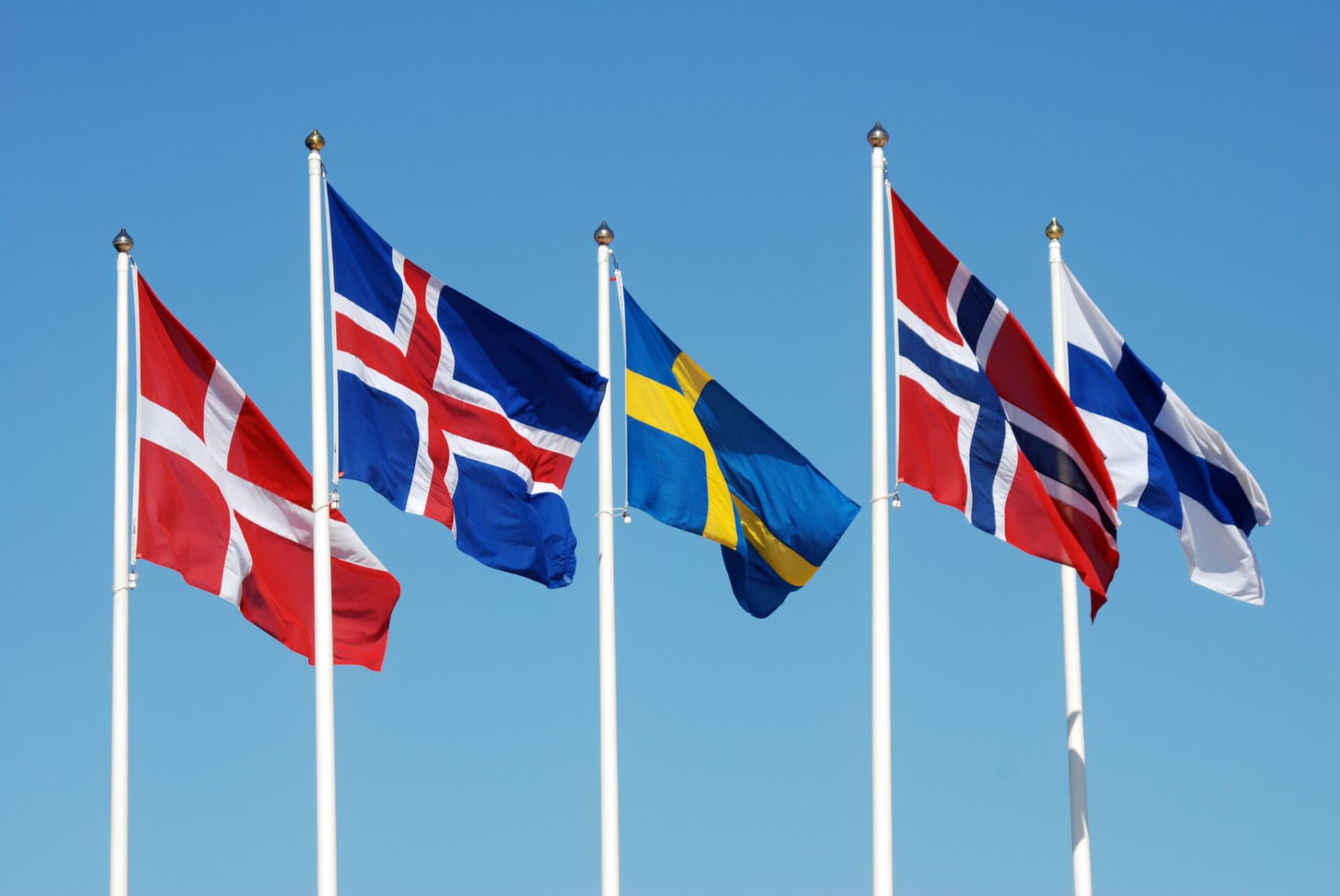 Scandinavian (most Nordic) flags on a blue sky.