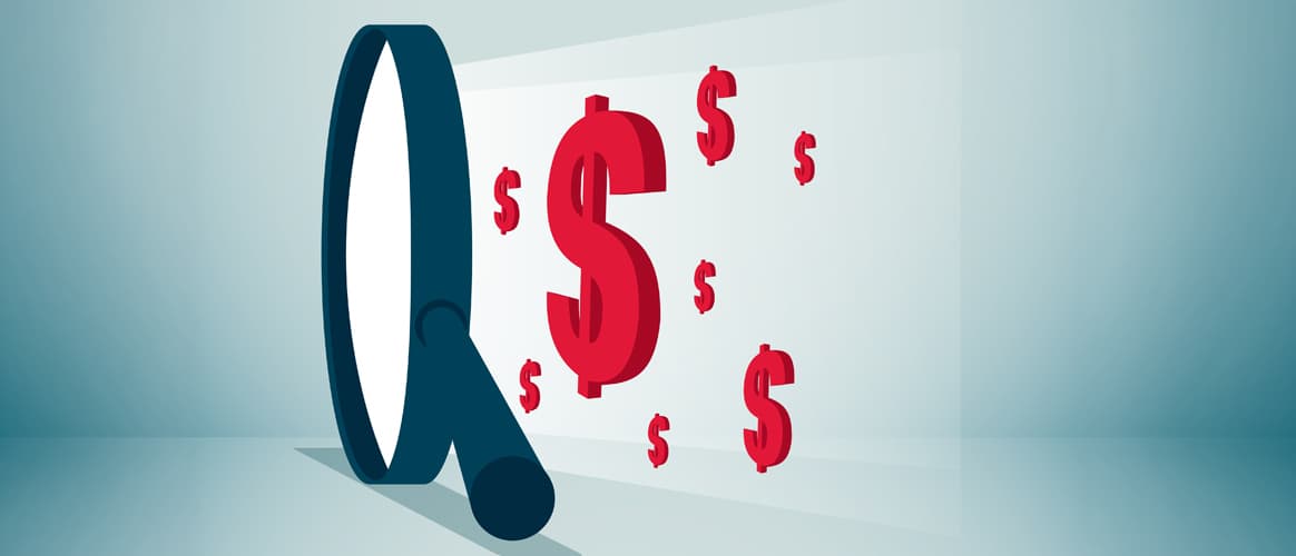 An illustration of a magnifying glass on a series of USD signs