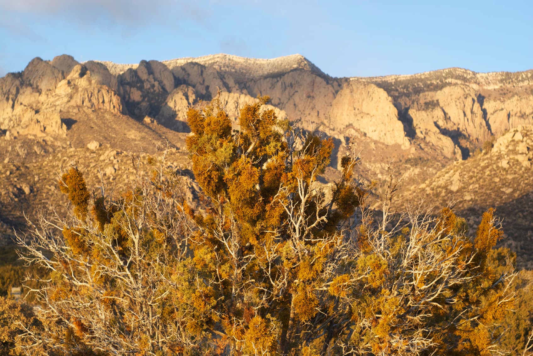 Feature image