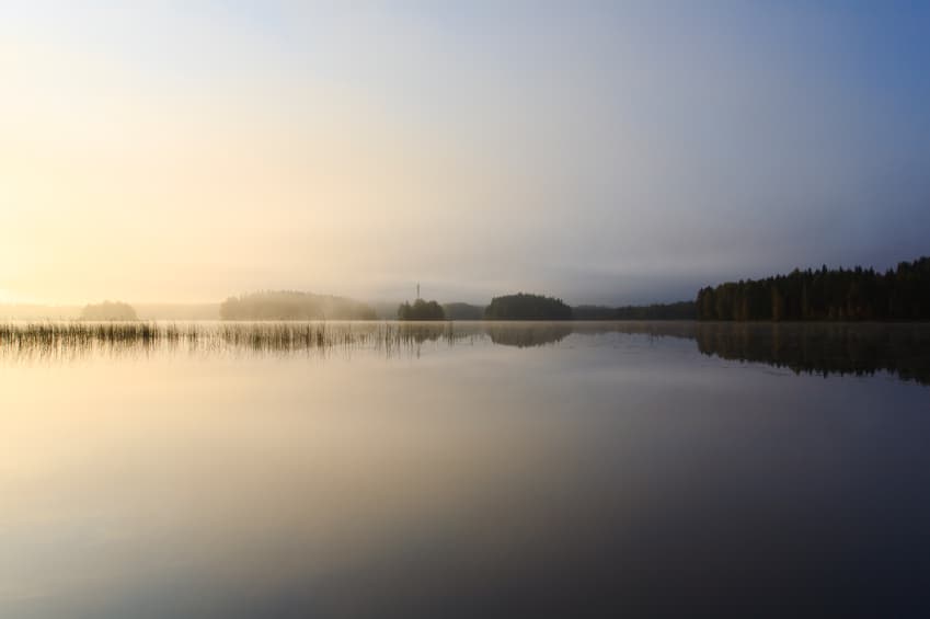 Feature image