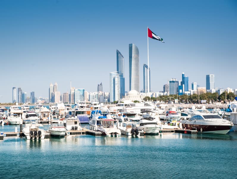 Abu Dhabi Investment Authority secondaries