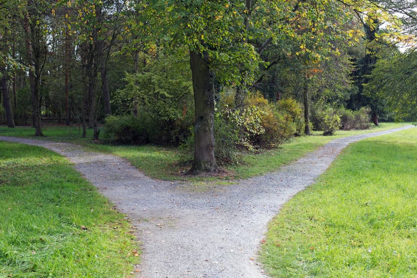 Feature image