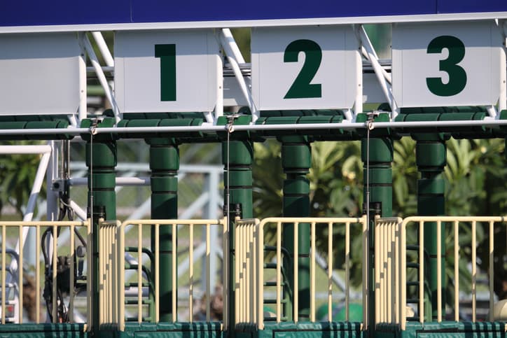 The Starting Gate