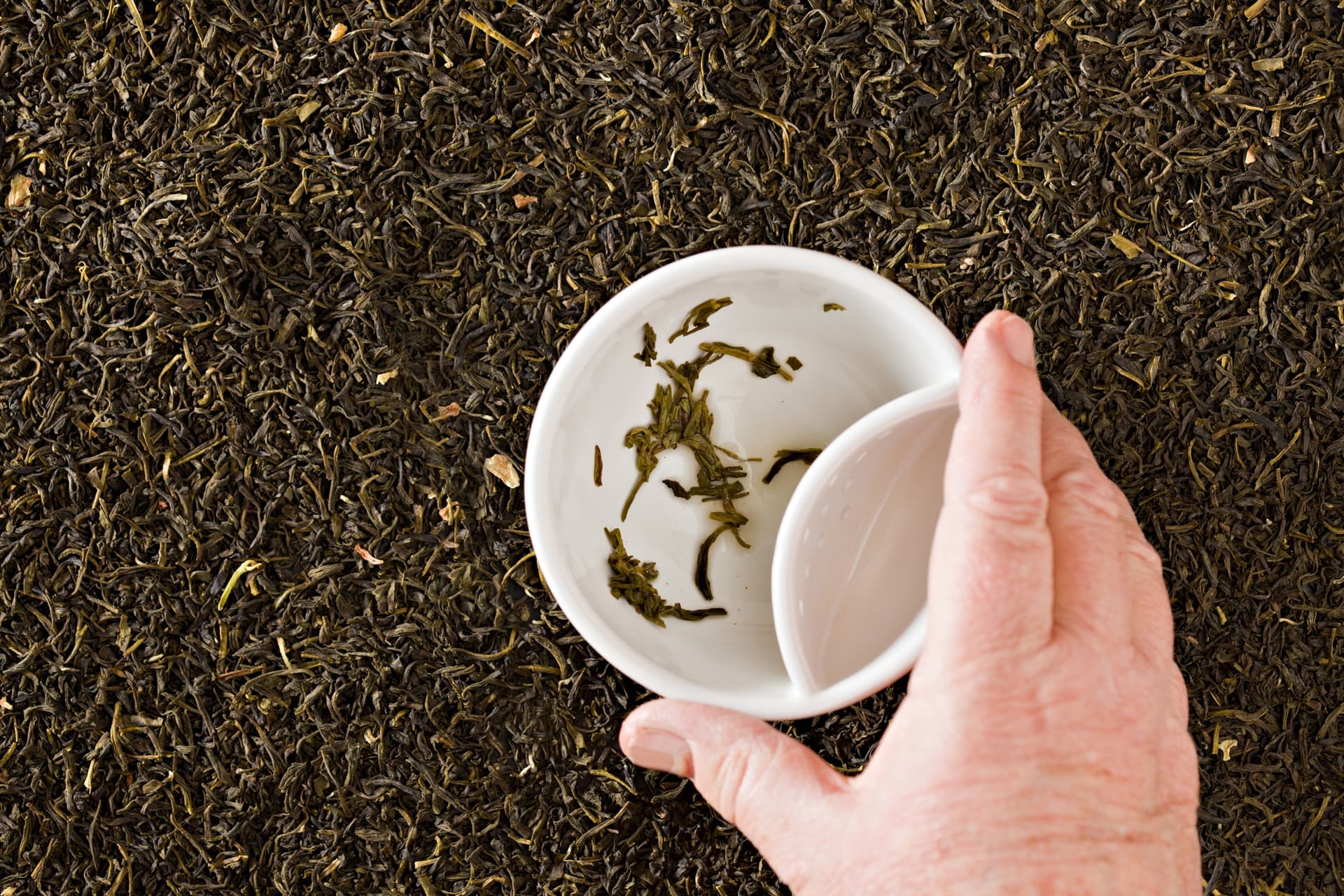 reading tea leaves